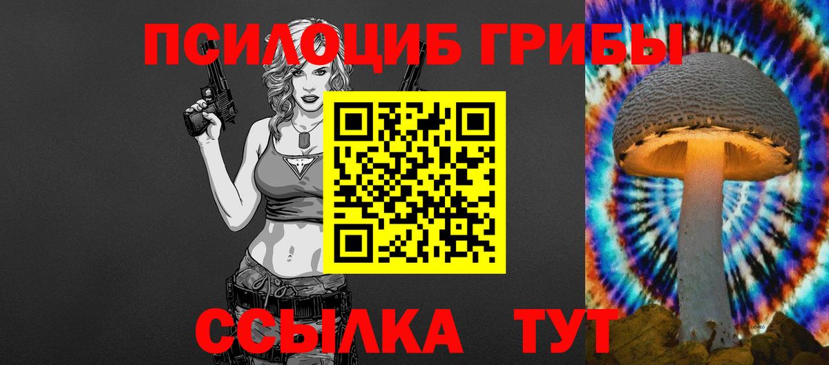 Великие Луки  Галлюциногенные грибы Cubensis  Вход с VPN 