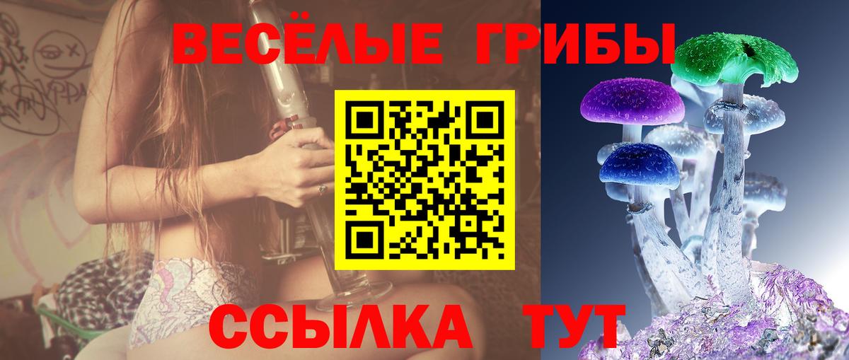Псилоцибиновые грибы ЛСД Великие Луки